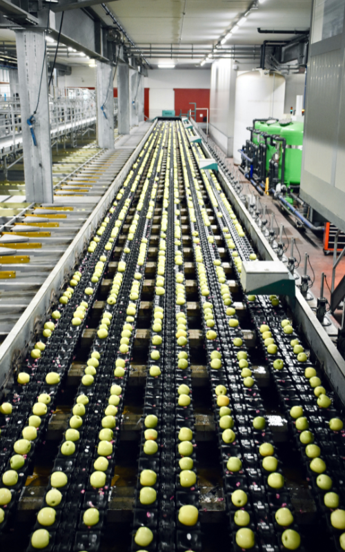 INDUSTRIA ALIMENTARIA - Página principal - Fraktal Seals